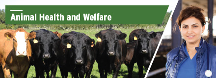 Animal Health and Welfare