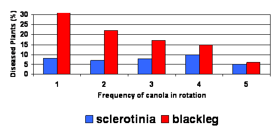 frequency of canola in rotation