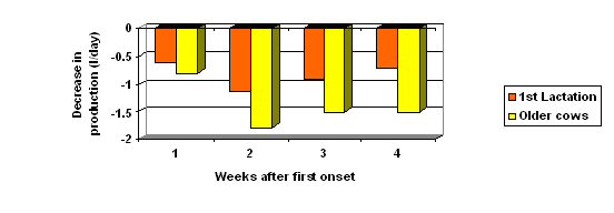 Production losses in lame cows of different ages